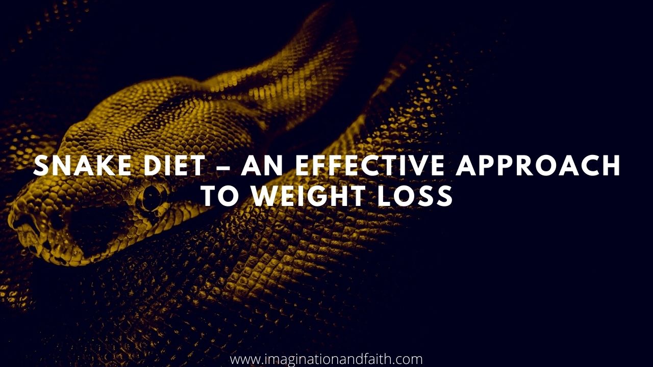 Snake Diet an Effective Approach to Weight Loss ImaginationAndFaith